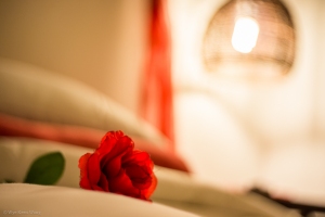 Synthetic Red Rose on our bed at the quaint and cosy Edenburg Guesthouse, Free State, South Africa.